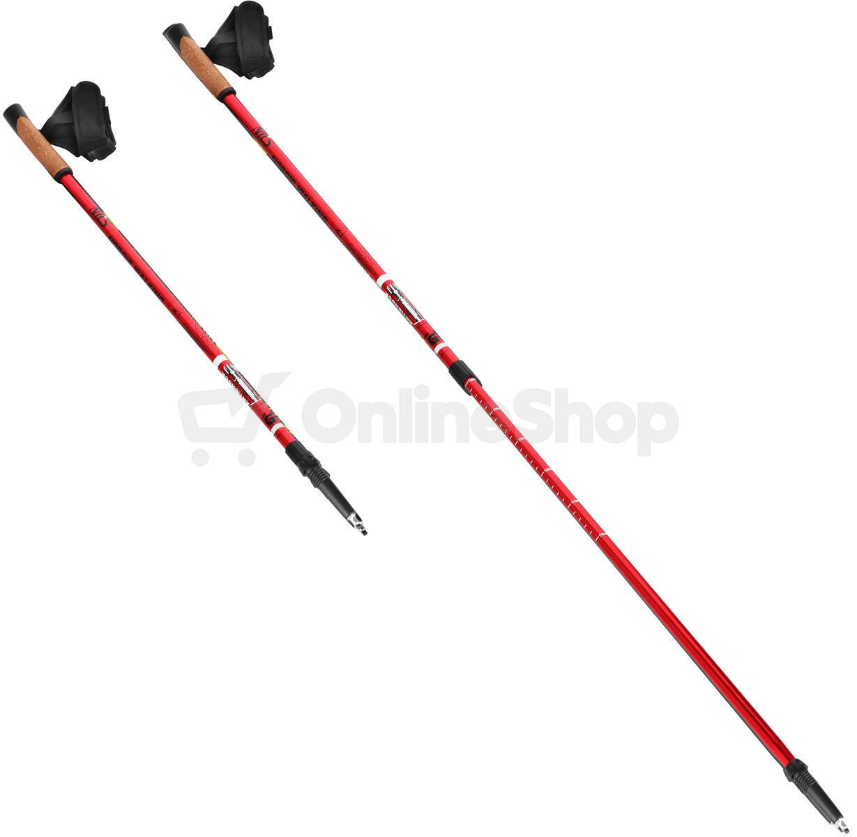 NW 802 NORDIC WALKING HOLE NILS EXTREME