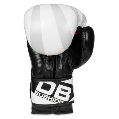 BUSHIDO B-2v8 (foto 3)