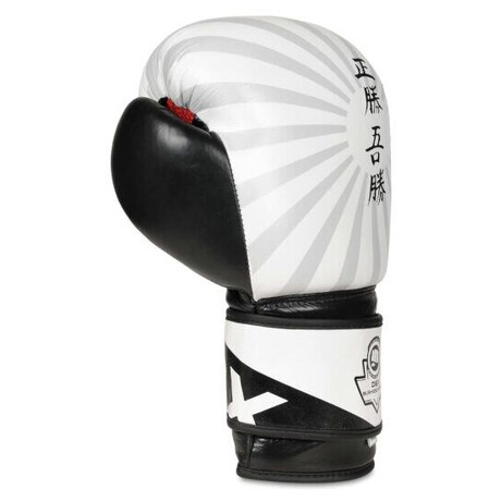 BUSHIDO B-2v8 (foto 4)