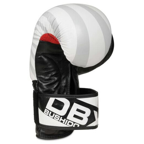 BUSHIDO B-2v8 (foto 5)