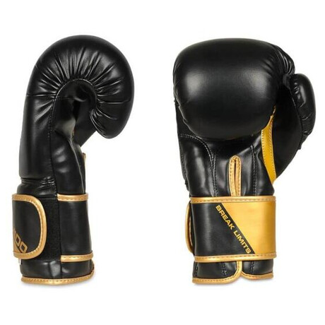 BUSHIDO B-2v10 (foto 2)