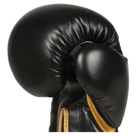 BUSHIDO B-2v10 (foto 6)