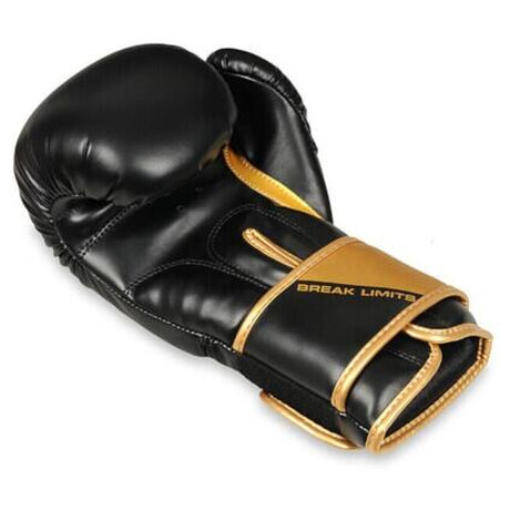 BUSHIDO B-2v10 (foto 7)