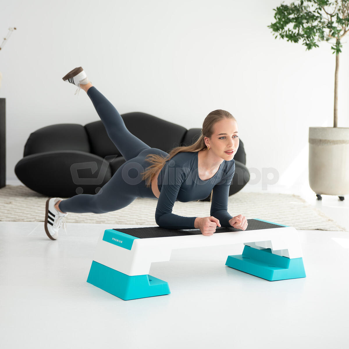 Step na aerobic HMS AS007 bílý/mentolový