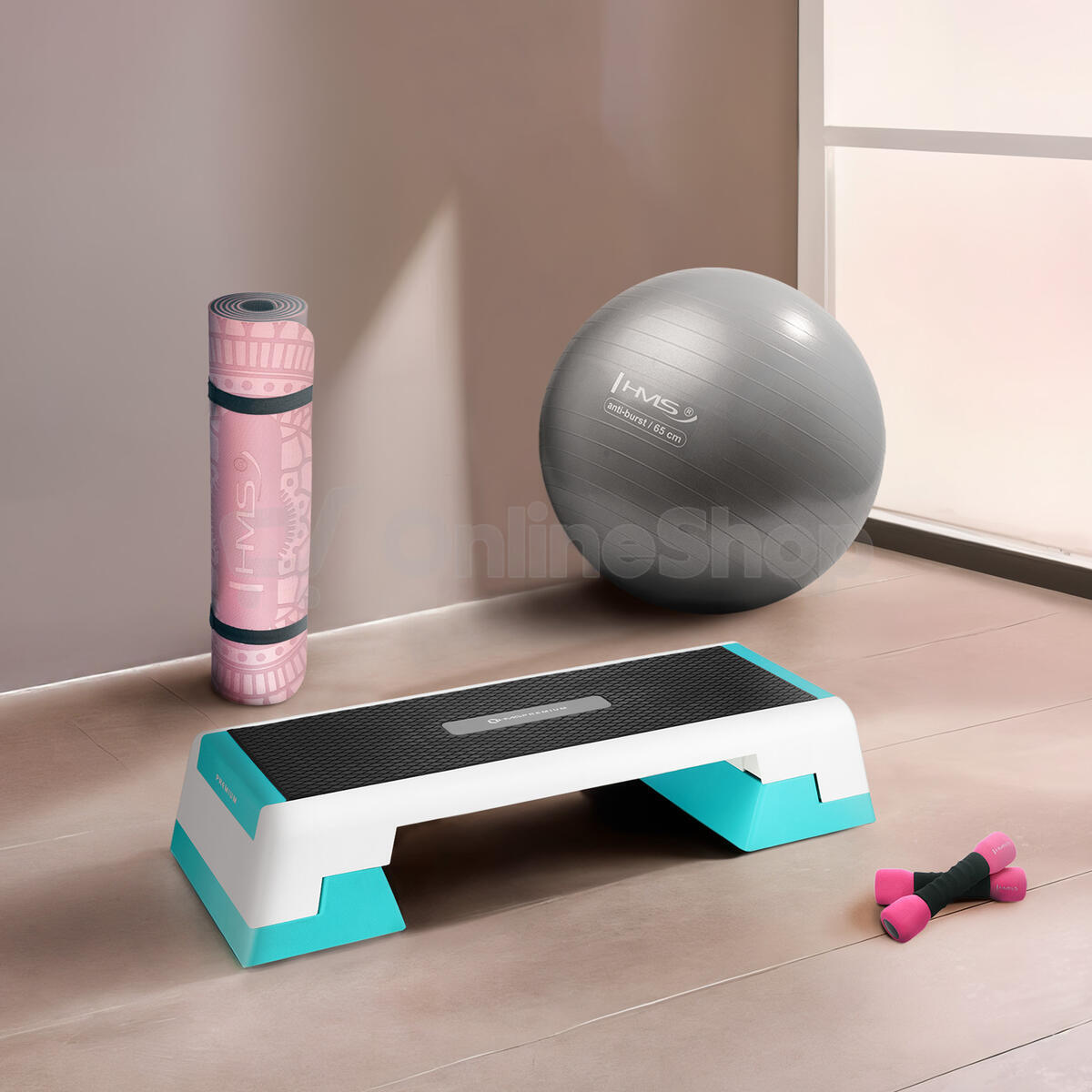 Step na aerobic HMS AS007 bílý/mentolový