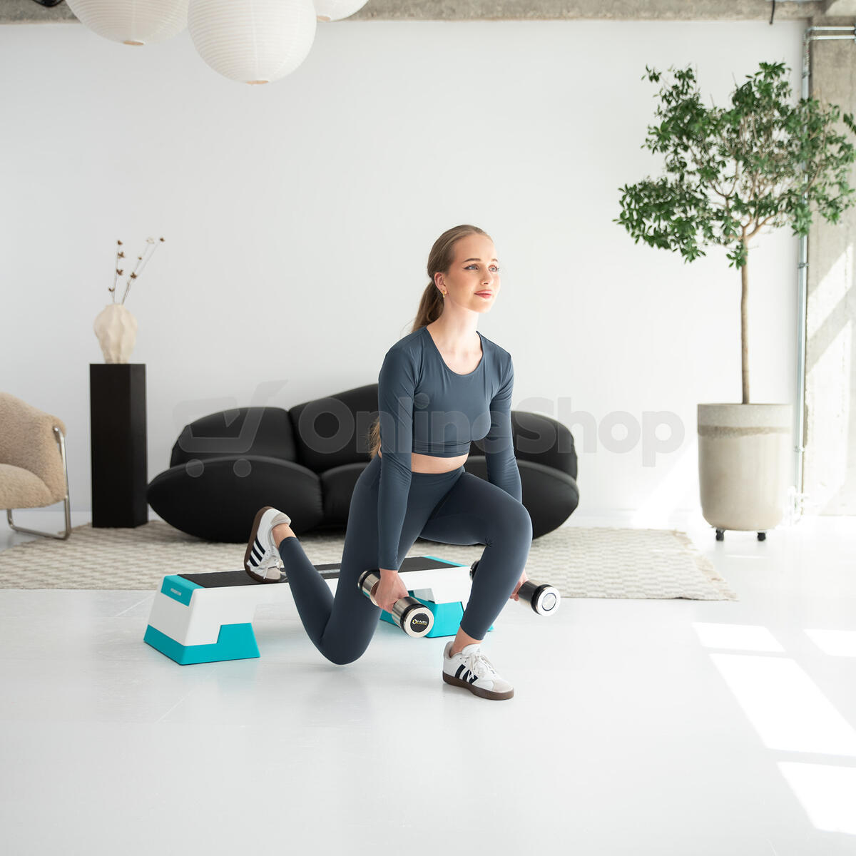 Step na aerobic HMS AS007 bílý/mentolový