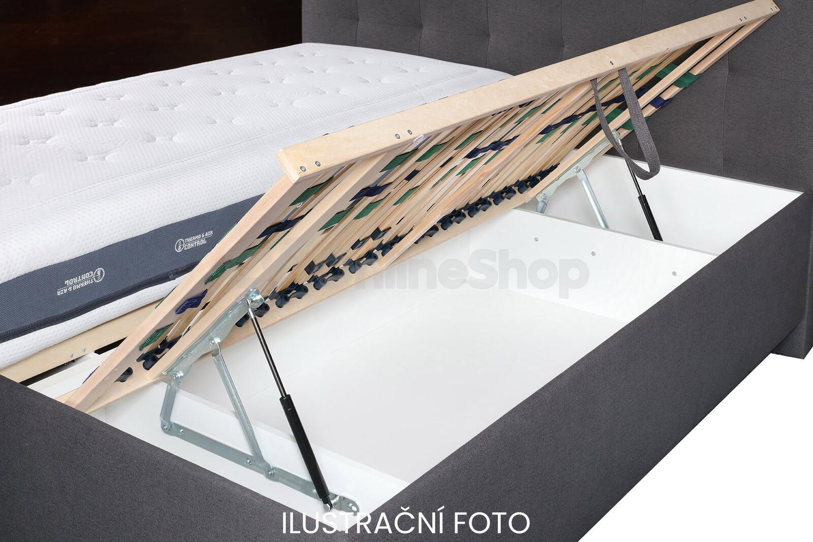 Tropico postel VENUŠE/Dotty 135/COMO WR19 Silver/nohy Star 13 160x200