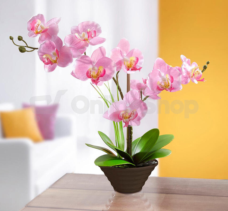 Moderne-hausfrau dekorační růžová orchidej