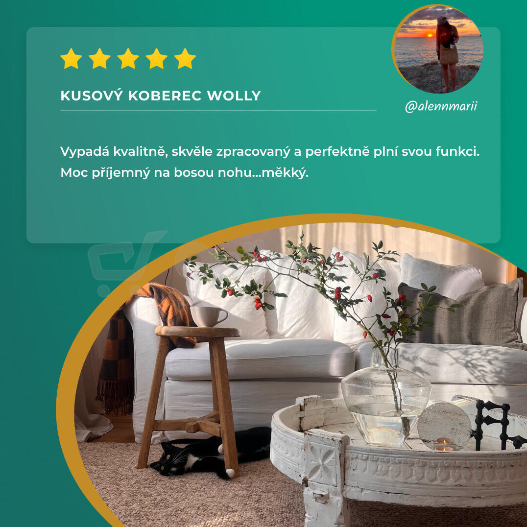 Kusový koberec Wolly 102840 100x140