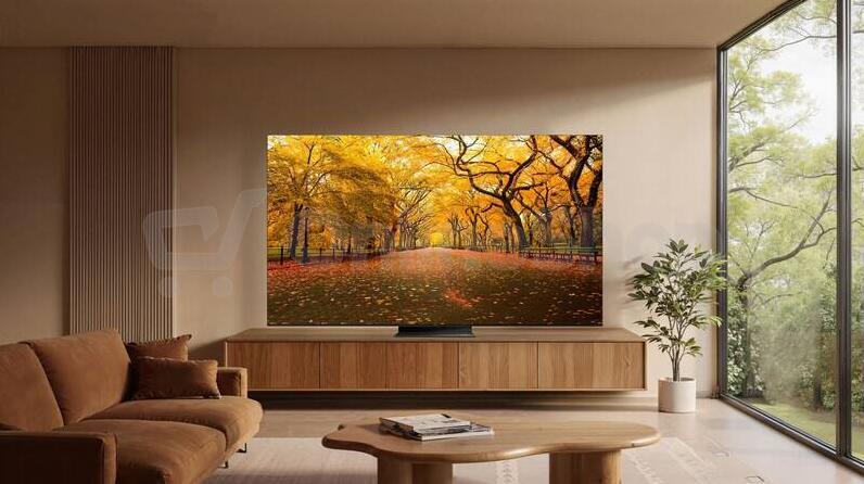 QLED televize TCL 55C8L