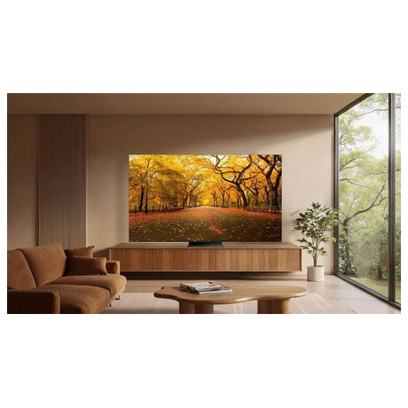 TCL 55C8L (foto 12)
