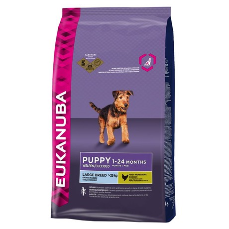 Granule Eukanuba Puppy & Junior Large Breed 15 kg