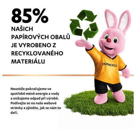 DURACELL Basic D,&nbsp;LR20, 1.5V, blistr 2ks (foto 1)