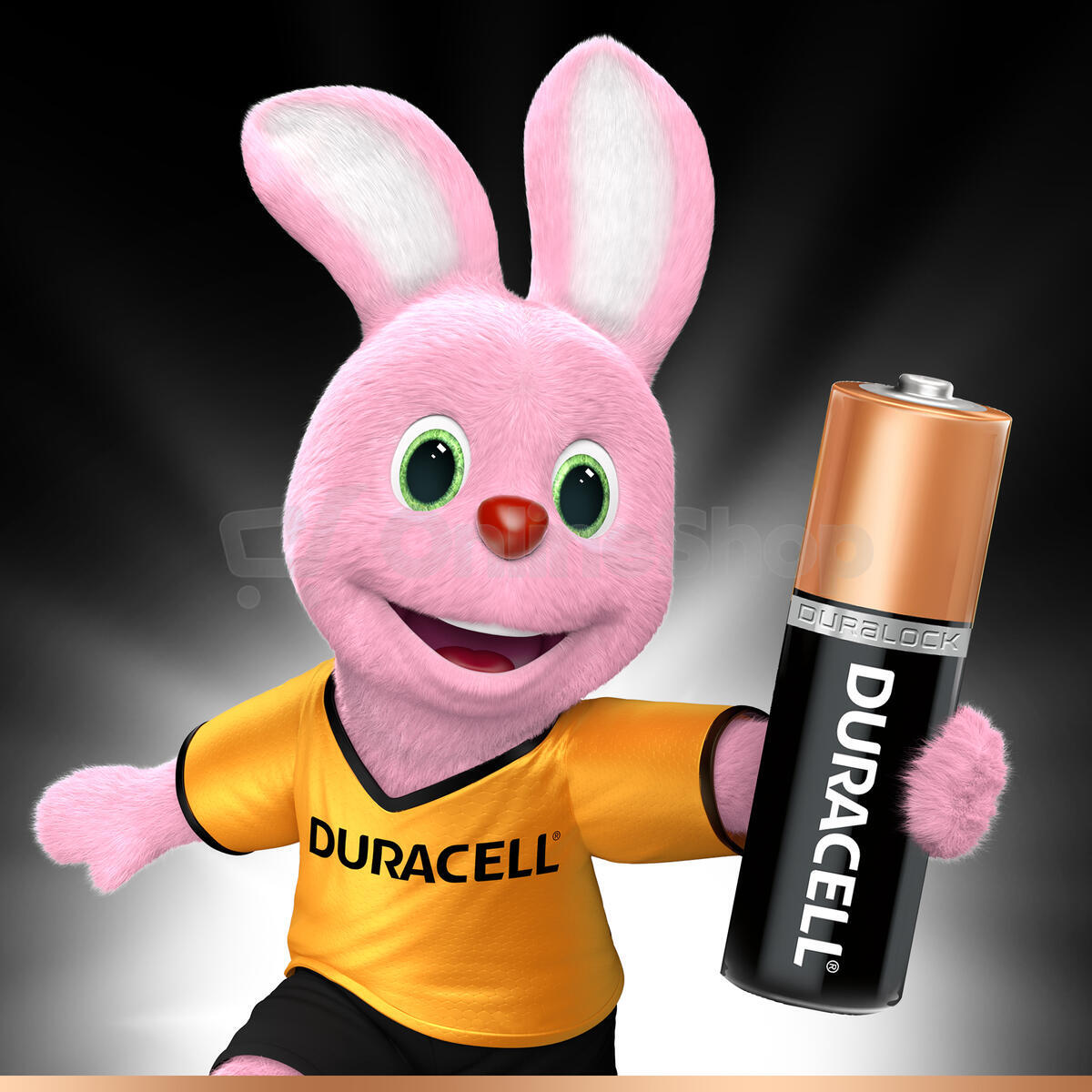 Baterie alkalická Duracell Basic AA 1500 12ks