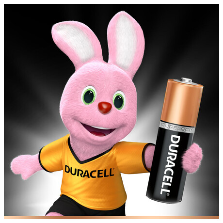 DURACELL Basic AA&nbsp;1500 12ks (foto 2)