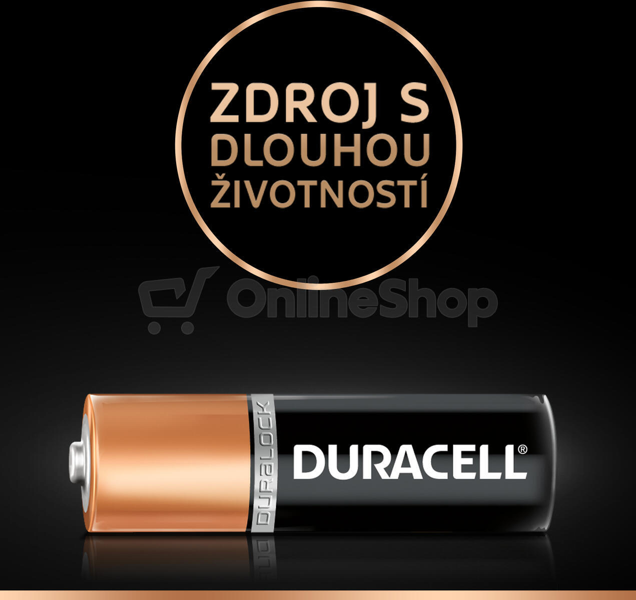 Baterie alkalická Duracell Basic AA 1500 12ks