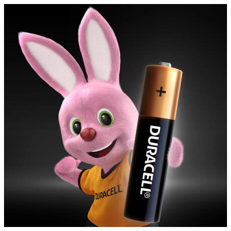 DURACELL Basic AAA, LR03, 1.5V, blistr 4ks (foto 1)