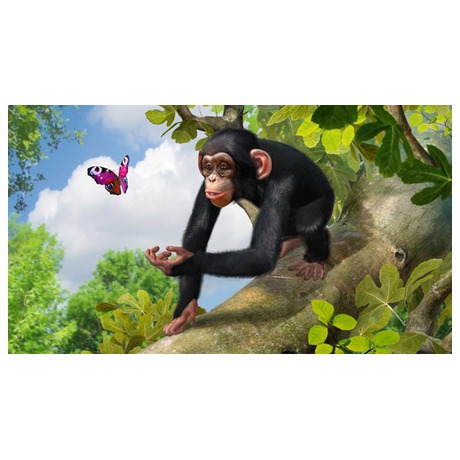 Hra Microsoft Xbox 360 Zoo Tycoon - Microsoft Xbox 360 Zoo Tycoon (foto 7)