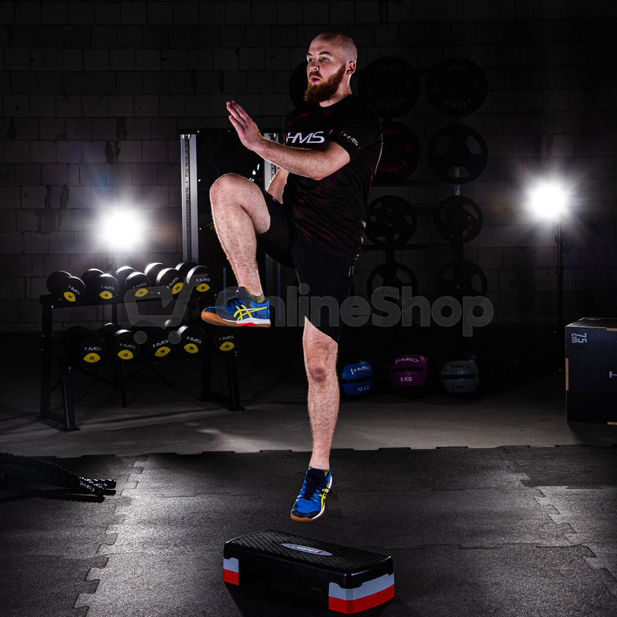 Step na aerobic HMS AS003