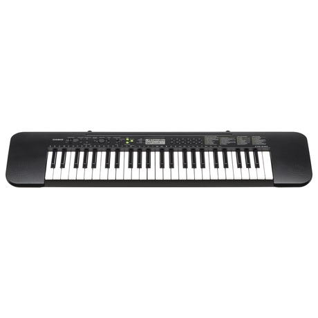 CTK 240 KLÁVESY CASIO - CASIO CTK 240 (foto 1)
