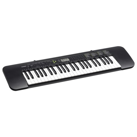 CTK 240 KLÁVESY CASIO - CASIO CTK 240 (foto 2)