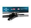 Televize GoGEN TVF 32248 WEB
