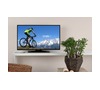 Televize GoGEN TVF 48276 WEB, LED