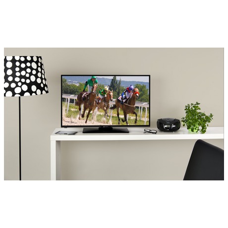 Televize GoGEN TVF 48266