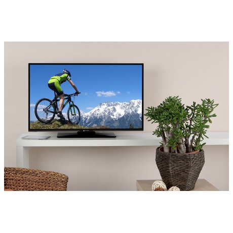 Televize GoGEN TVF 48266