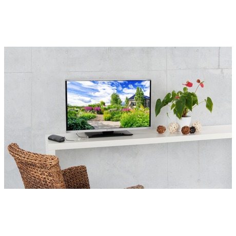 Televize GoGEN TVF 40384 WEB