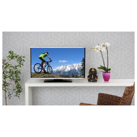 Televize GoGEN TVF 40384 WEB