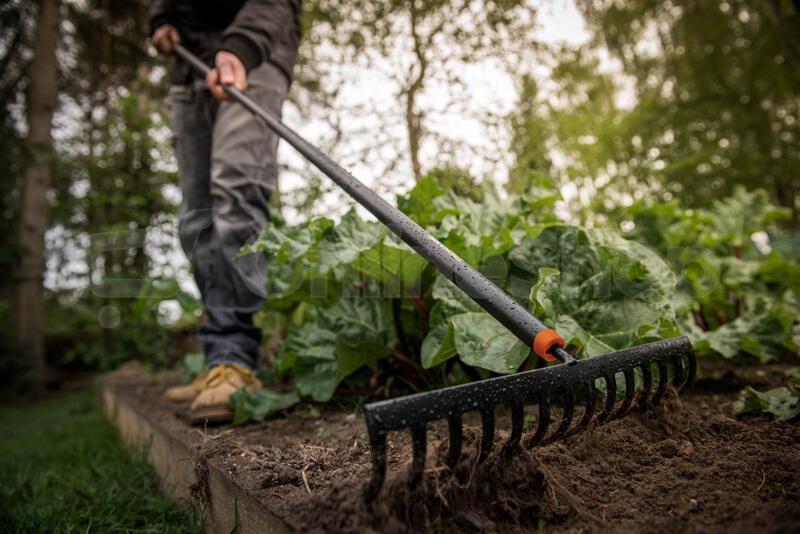 Hrábě Fiskars SolidTM