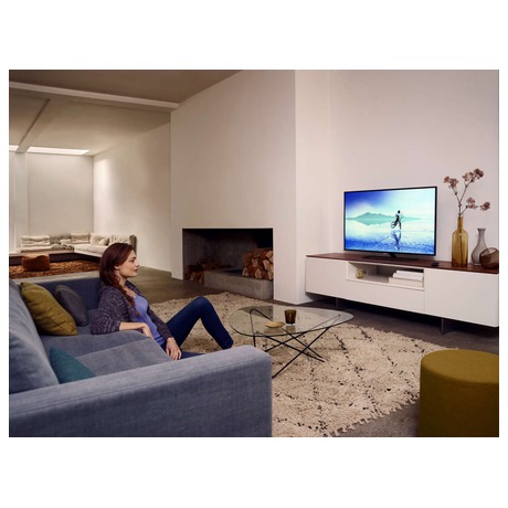 Televize Philips 48PFT5500