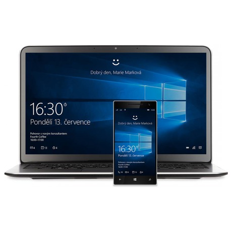 Operační systém Microsoft Windows 10 Pro 32/64-Bit CZ USB FPP