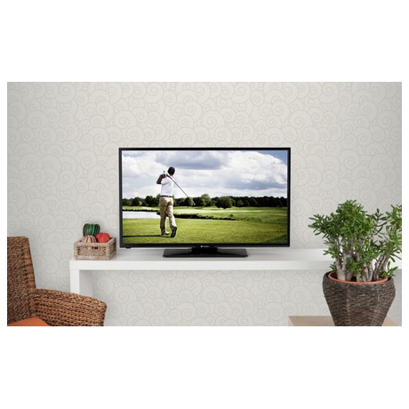 Televize Gogen TVF 32366 - GoGEN TVF 32366 (foto 4)