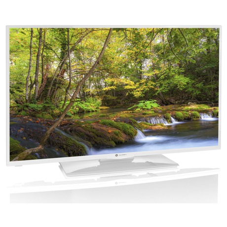 Televize GoGEN TVF 40E550 WEBW