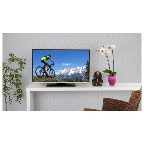 Televize GoGEN TVH 24E384 WEB - GoGEN TVH 24E384 WEB (foto 7)