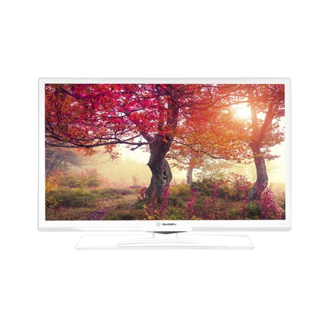 Televize GoGEN TVH 24E550 WEBW