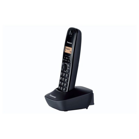 Panasonic KX&nbsp;TG1611FXH DECT, černý (foto 1)