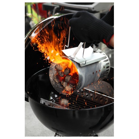 Weber s&nbsp;briketami (foto 1)