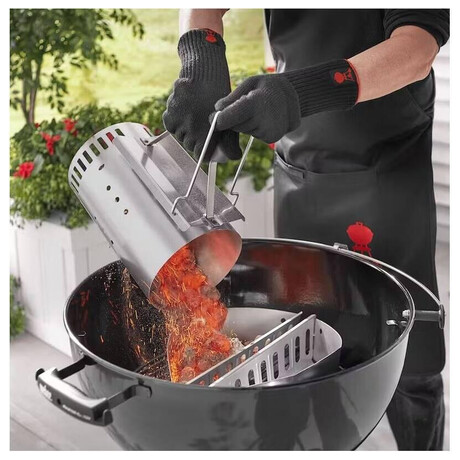Weber s&nbsp;briketami (foto 2)