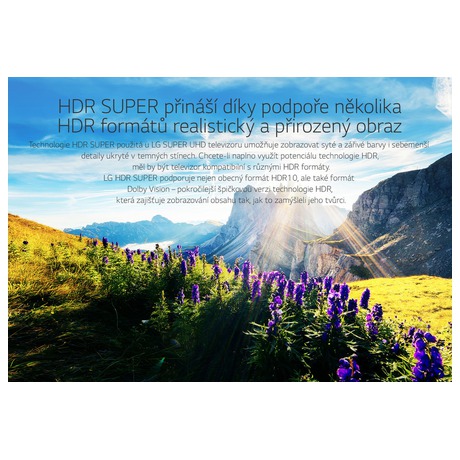 Televize LG 65UH8507