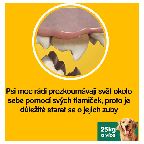 Pochoutka Pedigree Dentastix LARGE 28 kus