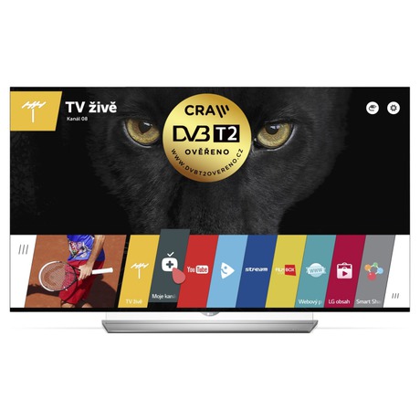 Televize LG 55EF950V