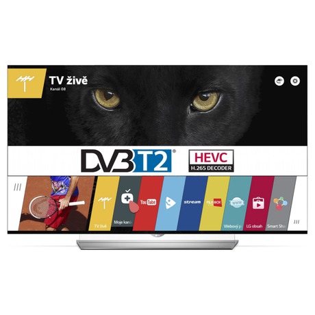 Televize LG 55EF950V