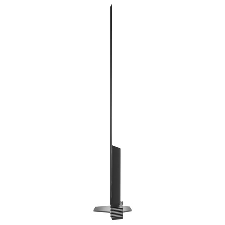 Televize LG OLED65E6V