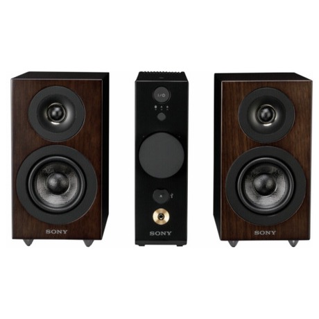 SONY CAS1B