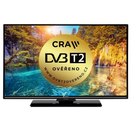 Televize GoGEN TVF 32N425 STWEB LED
