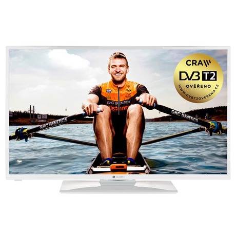 Televize GoGEN TVF 40N550 STWEBW LED