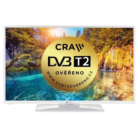 Televize GoGEN TVF 40N550 STWEBW LED
